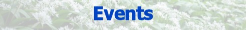 Events - 2010