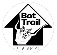 Bat Audio Trails