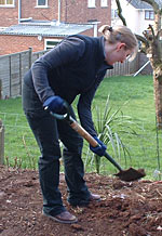Friends hedging