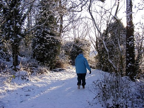 Winter Walk