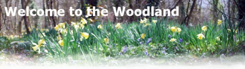 News & Events