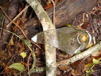 Broken Glass